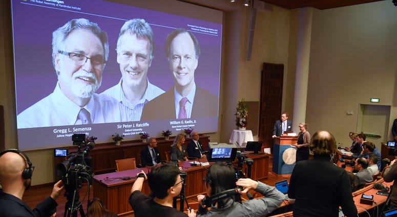 2019 Nobel Prize winners in medicine are Gregg L. Semenza, Peter J. Ratcliffe and William G. Kaelin Jr. 2019 Nobel Prize winners in medicine are Gregg L. Semenza, Peter J. Ratcliffe and William G. Kaelin Jr.