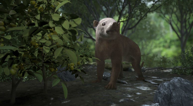 This image provided by HHMI Tangled Bank Studios in October 2019 shows a rendering of the ancient Carsioptychus mammal taken from the PBS NOVA special, Rise of the Mammals. A rendering of the ancient Carsioptychus mammal taken from the PBS NOVA special, Rise of the Mammals.