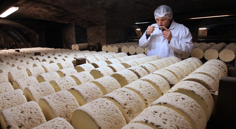 Bernard Roques, a refiner of Societe company, smells a Roquefort cheese as they mature in a cellar in Roquefort, southwestern France, Jan. 21, 2009. Bernard Roques, a refiner of Societe company, smells a Roquefort cheese as they mature in a cellar in Roquefort, southwestern France, Jan. 21, 2009.