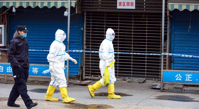 Workers in protective gear carry a bag containing a giant salamander that was reported to have escaped from the Huanan Seafood Market in Wuhan in central China's Hubei Province, Monday, Jan. 27, 2020. Workers in protective gear carry a bag containing a giant salamander that was reported to have escaped from the Huanan Seafood Market in Wuhan in central China's Hubei Province, Monday, Jan. 27, 2020.