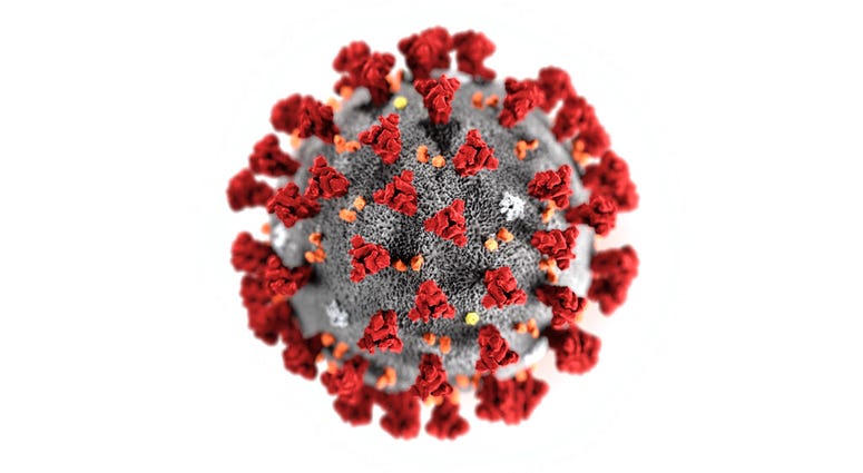 This illustration provided by the Centers for Disease Control and Prevention in January 2020 shows the 2019 Novel Coronavirus (2019-nCoV). This illustration provided by the Centers for Disease Control and Prevention in January 2020 shows the 2019 Novel Coronavirus (2019-nCoV).