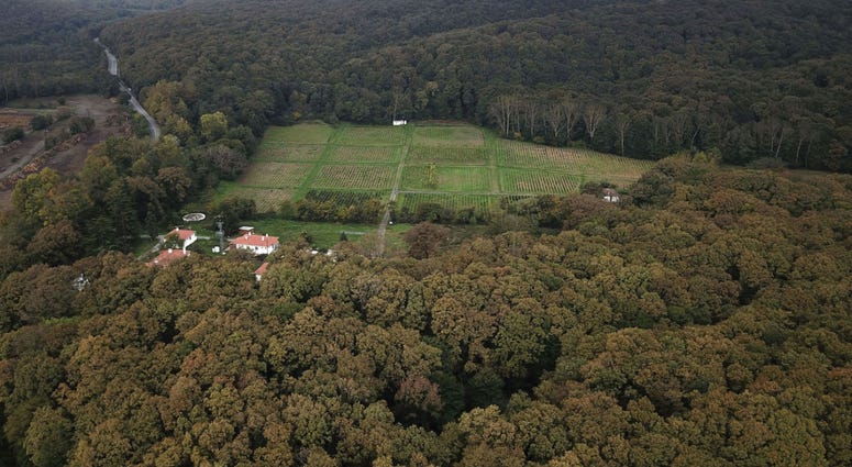 A Turkish official says investigators are assessing the possibility whether the remains of Jamal Khashoggi may have been taken to the forest on the outskirts of Istanbul. An aerial view of the Belgrade Forest in Istanbul, Friday, Oct. 19, 2018.
