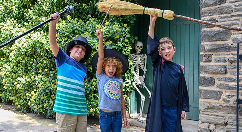 Wizard and Witches Festival in Chestnut Hill. Wizard and Witches Festival in Chestnut Hill.