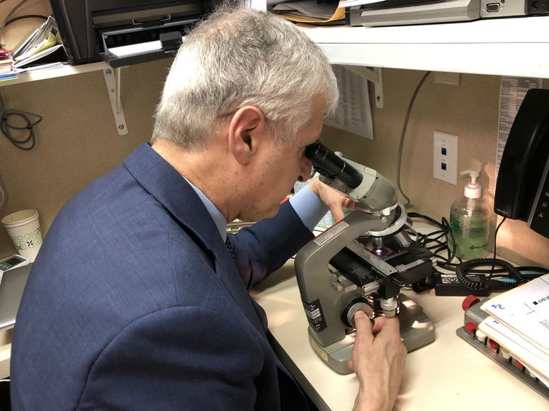 Donald Dvorin with The Asthma Center examines pollen on a slide in his Mount Laurel, N.J., office. Donald Dvorin with The Asthma Center examines pollen on a slide in his Mount Laurel, N.J., office.