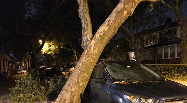 In Frankford, a tree slammed into car, and the car actually held the tree up, preventing it from falling further. In Frankford, a tree slammed into car, and the car actually held the tree up, preventing it from falling further.