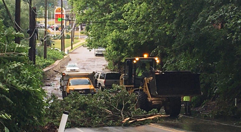 A downed tree on Limekiln Pike and Clubhouse Lane where flash flooding hit A downed tree on Limekiln Pike and Clubhouse Lane where flash flooding hit