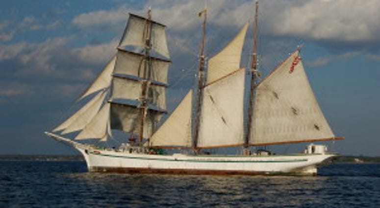 Gazela Gazela