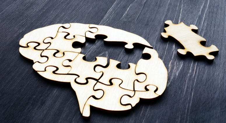 Brain from wooden puzzle Brain from wooden puzzle