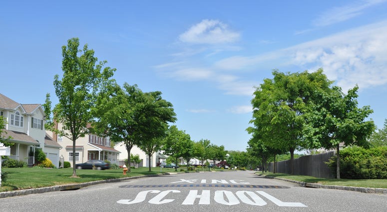 Suburban neighborhood school crossing traffic sign and speed bump on street in residential district on beautiful blue sky day. school crossiing