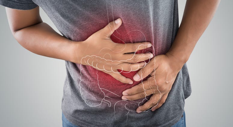 Intestine.