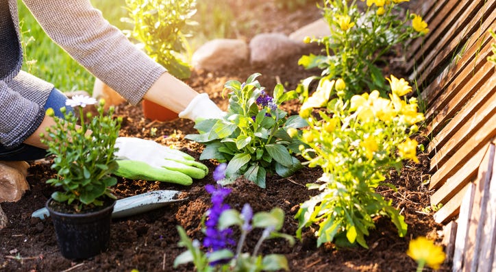 Gardening. Gardening.