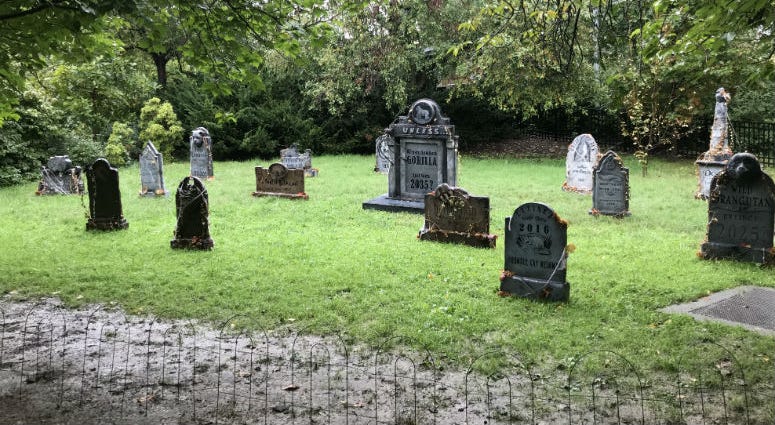 The Philadelphia Zoo's Boo at the Zoo features the not-so-scary Extinction Graveyard to learn about the extinction of species around the world. Boo at the Zoo