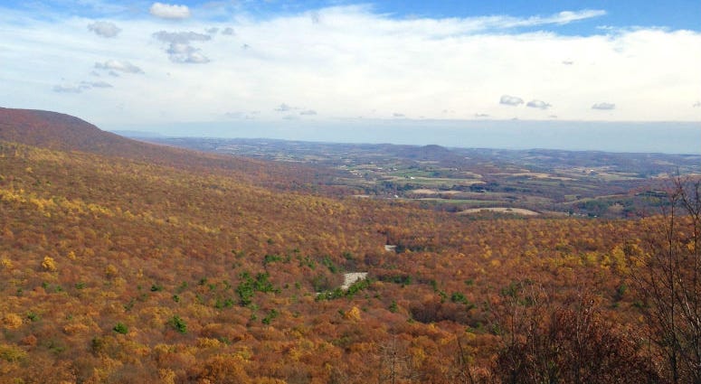 Fall foliage seen in Hawk Mountain Sanctuary, Albany Township, Berks County. Fall foliage seen in Hawk Mountain Sanctuary, Albany Township, Berks County.