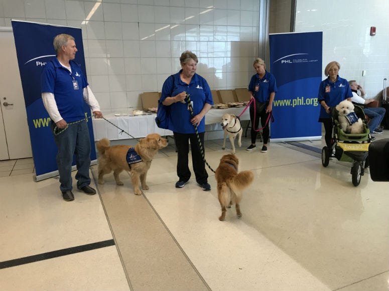 Therapy dogs as a part of a pilot program to help reduce stress for travelers at Philadelphia International Airport. A pilot program to help reduce stress for travelers at Philadelphia International Airport is taking off.