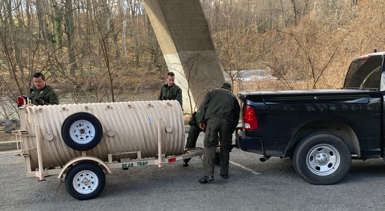 Delaware Natural Resources officers attach a bear trap to a state vehicle for transport to a wooded area near the Pennsylvania-Delaware border, where they hope to capture a roaming black bear first spotted a few days ago in Delaware County. Bear trap