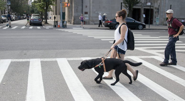 Samantha Ambrico-Custer and her guide dog, Leo, cross the street. She said the coronavirus pandemic has been difficult for her because dogs are not trained to stay 6 feet away from other people in public spaces. Guide dog