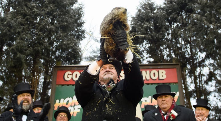 Punxsutawney Phil did not see his shadow predicting an early spring during the 133rd annual Groundhog Day festivities on February 2, 2019 in Punxsutawney, Pennsylvania. Punxsutawney Phil did not see his shadow predicting an early spring during the 133rd annual Groundhog Day festivities on February 2, 2019 in Punxsutawney, Pennsylvania.