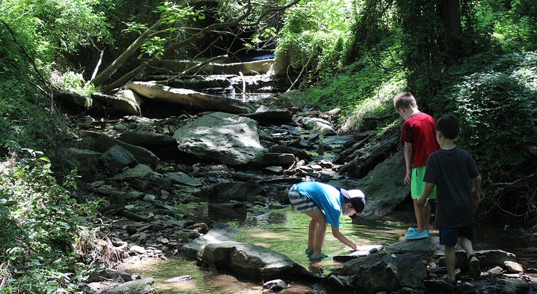 Riverbend Environmental Education Center summer program Riverbend Environmental Education Center