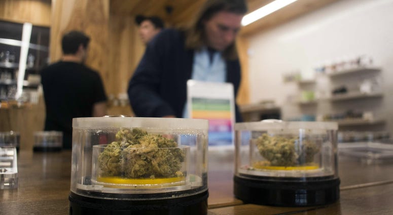 Marijuana samples on display at MedMen in West Hollywood, California, Jan. 2, 2018. On Jan. 1, it became legal in California to sell recreational marijuana, but many shops began sales on Jan. 2. Marijuana samples on display at MedMen in West Hollywood, California, Jan. 2, 2018. On Jan. 1, it became legal in California to sell recreational marijuana, but many shops began sales on Jan. 2.