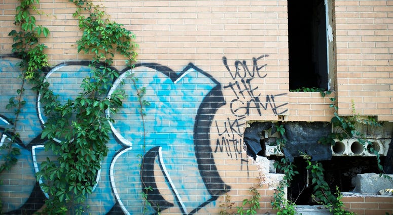 Graffiti covers the walls of crumbling buildings at the Camden Labs site, Aug. 15, 2018. The former toxic and illegal dumping site will be cleaned and cleared to make way for recreational open space. Graffiti covers the walls of crumbling buildings at the Camden Labs site, Aug. 15, 2018. The former toxic and illegal dumping site will be cleaned and cleared to make way for recreational open space.