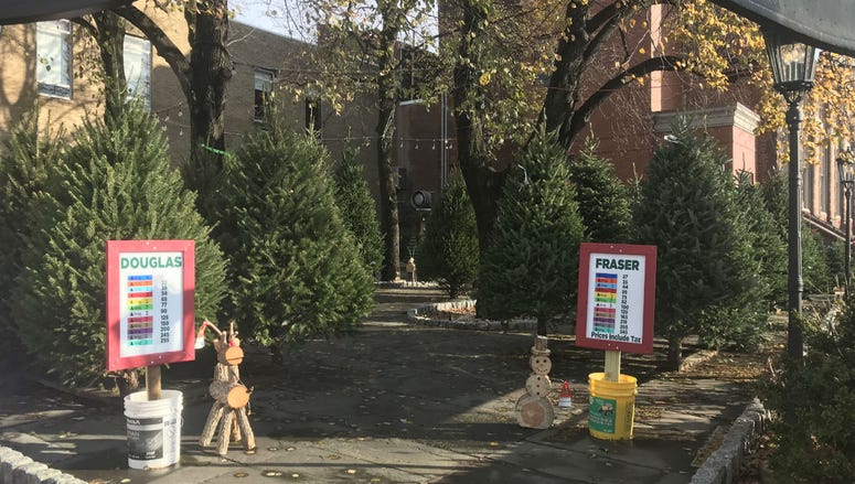 The Christmas Tree Stand at 6th and Spring Garden streets in Philadelphia. The Christmas Tree Stand at 6th and Spring Garden streets in Philadelphia.