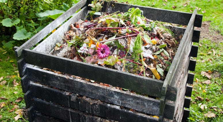 compost bin compost bin