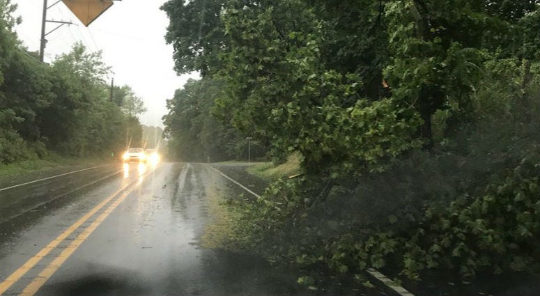 Trees fall as severe weather passes through. Trees fall as severe weather passes through.