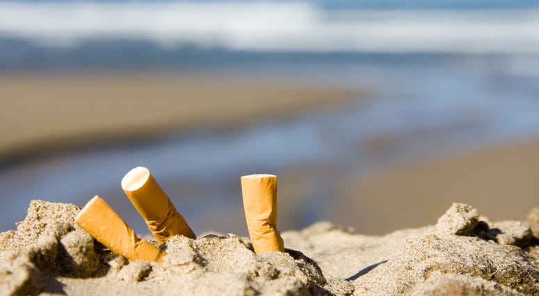 Cigarette butts on the beach Cigarette butts on the beach