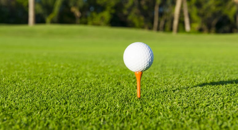 Golf Course Golf Course generic