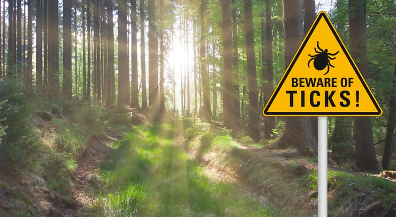 Ticks don't go dormant just because the calendar says it's winter. Ticks don't go dormant just because the calendar says it's winter.