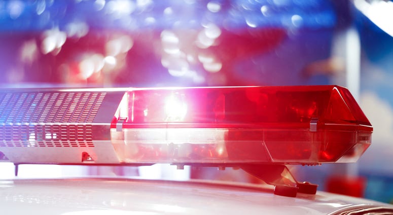 Police Light Generic Police Light Generic