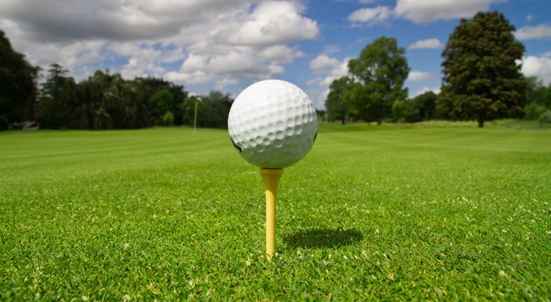 Ball view for the golf course with flag Golf Generic