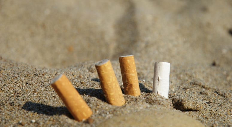 Cigarette butts in the sand Cigarette butts in the sand