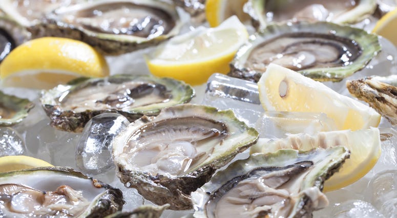 oysters oysters