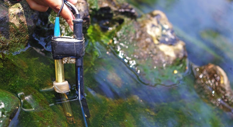 Checking water quality. Checking water quality.