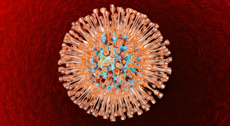 A medical visualization of a herpes virus