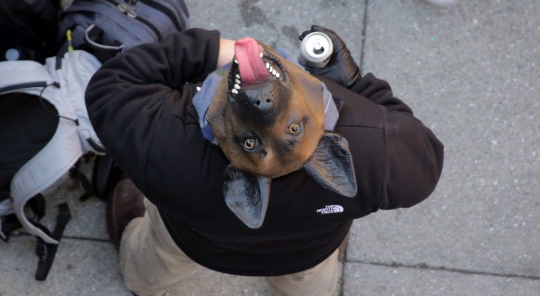 A fan wears an underdog mask while waiting for the Philadelphia Eagles parade to start on Broad Street, Feb. 8, 2018. Eagles Super Bowl parade
