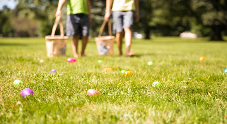 Easter egg hunt Easter egg hunt
