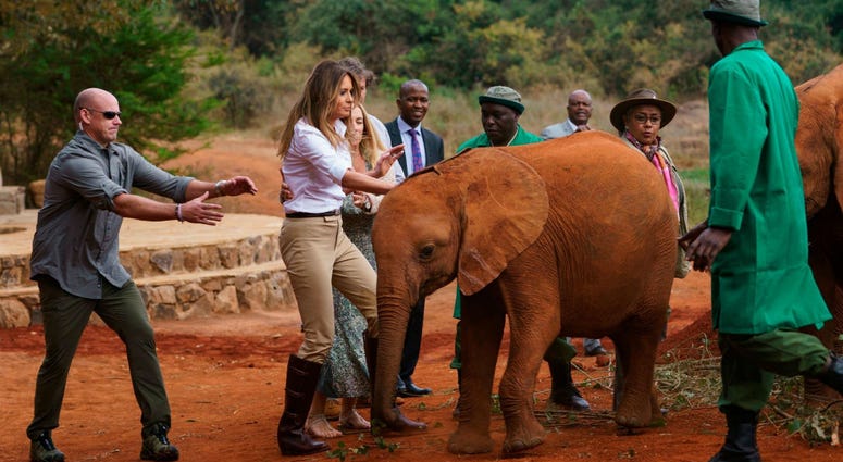 Two rambunctious baby elephants bump into First lady Melania Trump as she pets one at David Sheldrick Elephant & Rhino Orphanage at Nairobi National Park in Nairobi, Kenya, Friday, Oct. 5, 2018. Melania Trump Baby Elephant