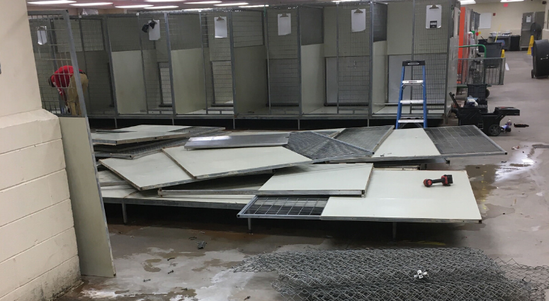 Major renovations to ACCT Philly’s facility were postponed in March due to the outbreak of the coronavirus, but improvements are now back on track. ACCT Philly renovation