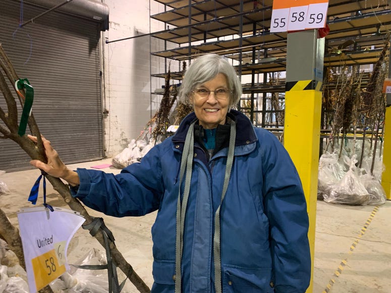 Tree Tenders project manager Barley Van Clief says being around trees has been proven to relieve stress. Tree Tenders project manager Barley Van Clief says being around trees has been proven to relieve stress.