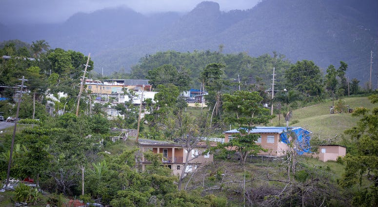 Trees remained damaged and destroyed on the edge of a lake and blue FEMA tarps covered rooftops more than seven months after Hurricane Maria, Wednesday, April 18, 2018 in Villalba, Puerto Rico. Trees remained damaged and destroyed on the edge of a lake and blue FEMA tarps covered rooftops more than seven months after Hurricane Maria, Wednesday, April 18, 2018 in Villalba, Puerto Rico.