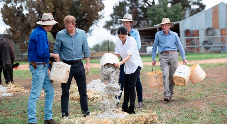 10/17/2018 - The Duke and Duchess of Sussex help feed the farm animals as they visit a local farming family, the Woodleys in Dubbo, on the second day of the Royal couple's visit to Australia. 10/17/2018 - The Duke and Duchess of Sussex help feed the farm animals as they visit a local farming family, the Woodleys in Dubbo, on the second day of the Royal couple's visit to Australia.