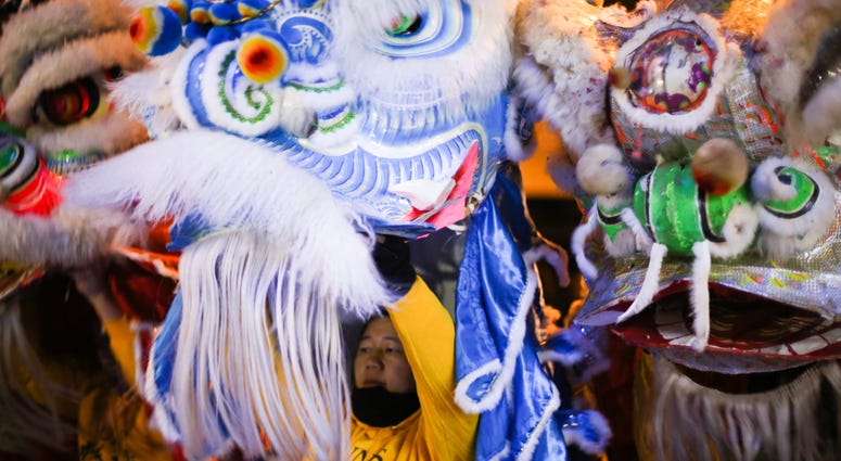 The Lion Dance The Lion Dance