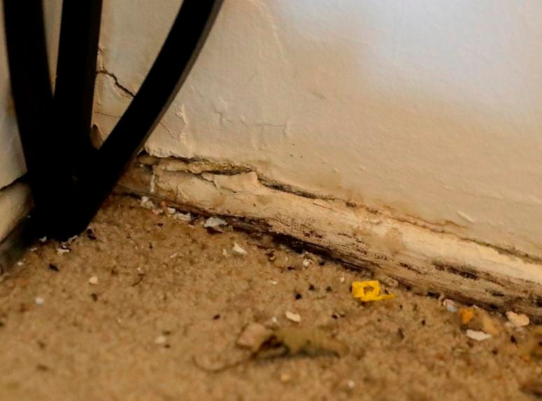 Mice droppings are seen near a hole in the corner of the living room in Carrie Newson's residence at the Dutch Village apartments, Tuesday, July 30, 2019, in Baltimore. Dutch Village apartments
