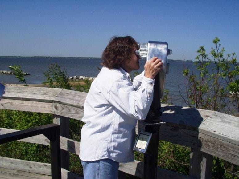 Eastern Neck Wildlife Refuge offers nature trails and bayside observation platforms. Eastern Neck Wildlife Refuge