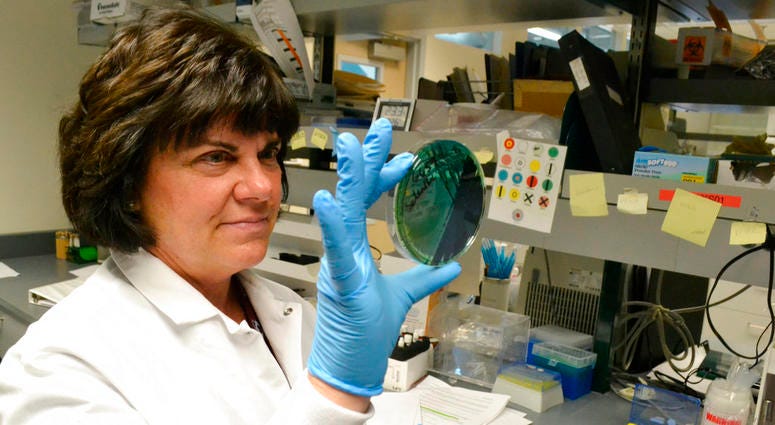 Scientist Karen Xavier holds a petri dish containing a stool sample of small bacteria colonies in Denver. Scientist Karen Xavier holds a petri dish containing a stool sample of small bacteria colonies in Denver.