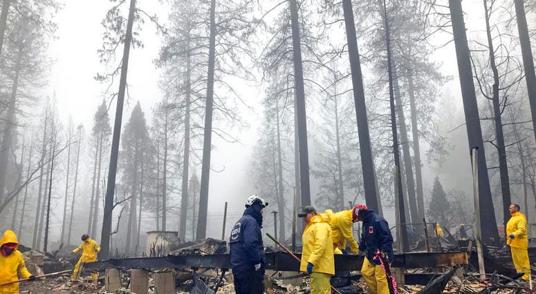 After a brief delay to let a downpour pass, volunteers resume their search for human remains at a mobile home park in Paradise, Calif., Friday, Nov. 23, 2018. After a brief delay to let a downpour pass, volunteers resume their search for human remains at a mobile home park in Paradise, Calif., Friday, Nov. 23, 2018.