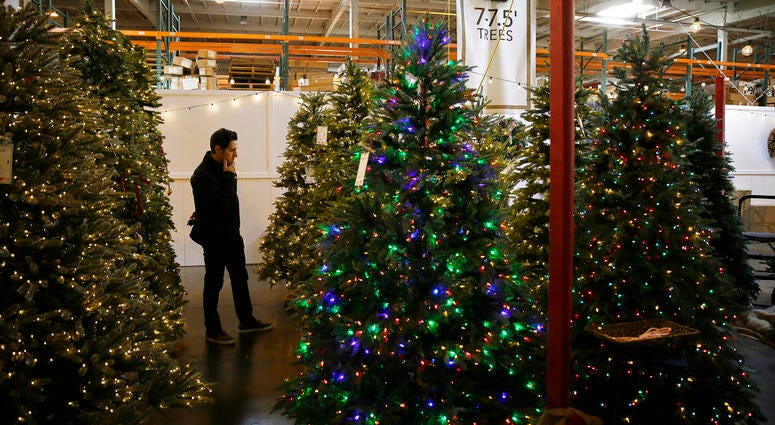 In this Friday, Nov. 30, 2018, photo, a man looks at artificial Christmas trees for sale at the Balsam Hill Outlet store in Burlingame, Calif. In this Friday, Nov. 30, 2018, photo, a man looks at artificial Christmas trees for sale at the Balsam Hill Outlet store in Burlingame, Calif.