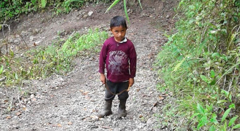 This undated photo provided by Catarina Gomez on Thursday, Dec. 27, 2018, shows her half-brother Felipe Gomez Alonzo, 7, near Laguna Brava in Yalambojoch, Guatemala. This undated photo provided by Catarina Gomez on Thursday, Dec. 27, 2018, shows her half-brother Felipe Gomez Alonzo, 7, near Laguna Brava in Yalambojoch, Guatemala.